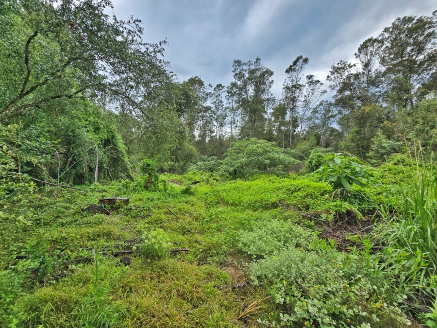 Commercial Property for Sale in Wilderness Heights Western Cape